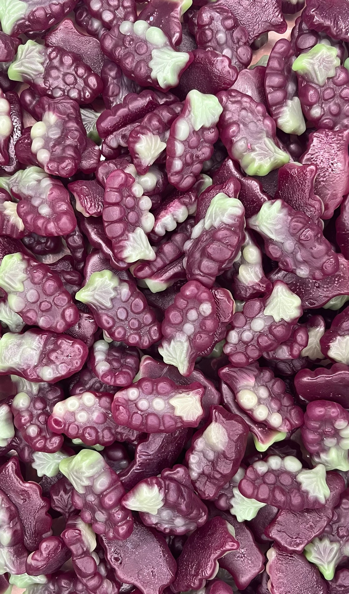 Sour Grapes (NZ)